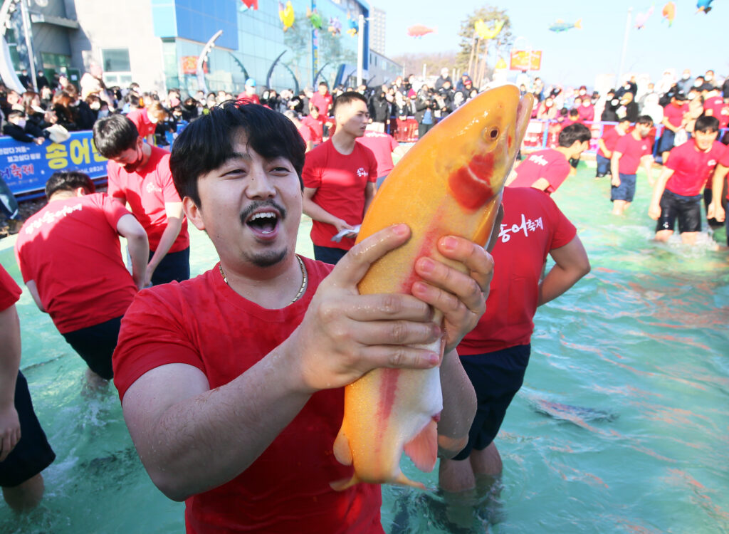 ‘나도 떠나볼까? 평창으로” 평창송어축제, 연일 만원