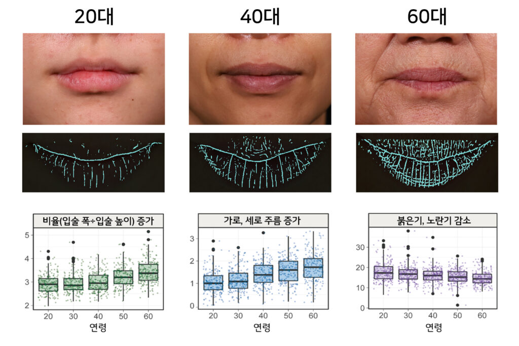 ‘입술이 얇아지며 생기가 사라진다고요? 노화입니다’ LG생건, 1000명 대상 연구 결과 발표