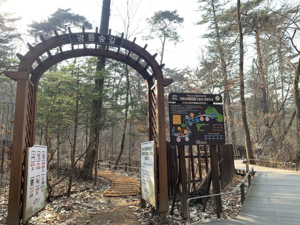 ‘광릉숲 비밀의 문 다시 연다’ 산림청, 오솔길 3월 개방