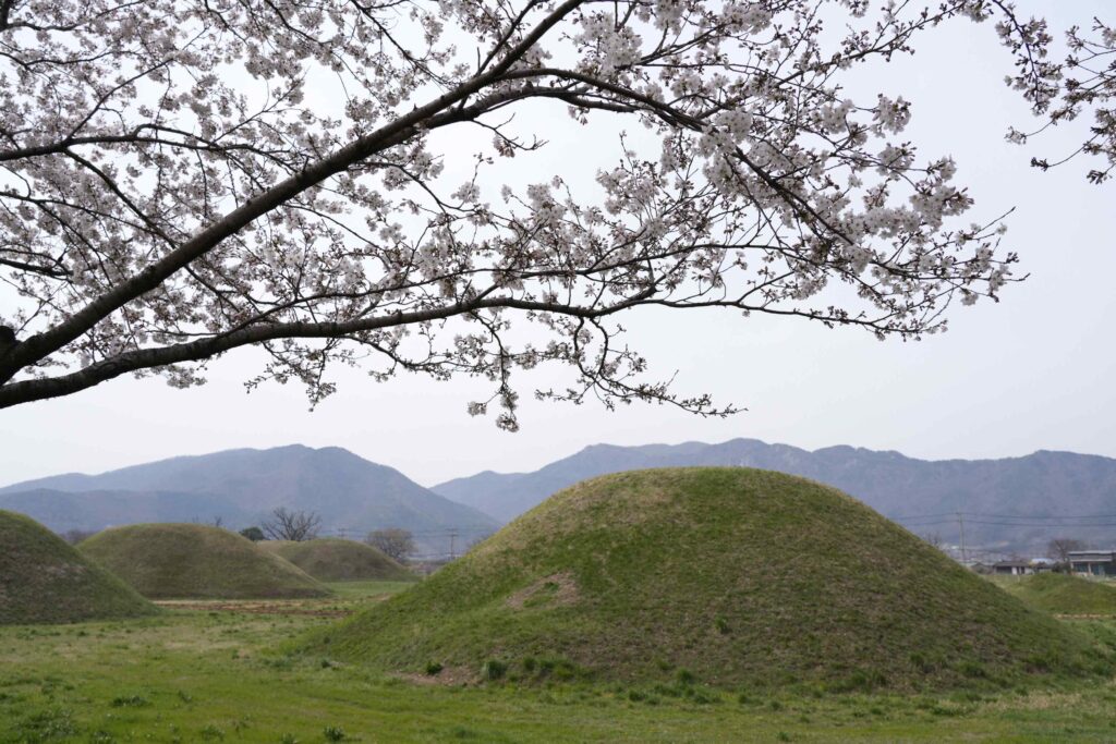 ‘경주 금척리 고분군 신비의 베일 벗나’ 문화재청, 발굴 앞서 주민설명회 개최