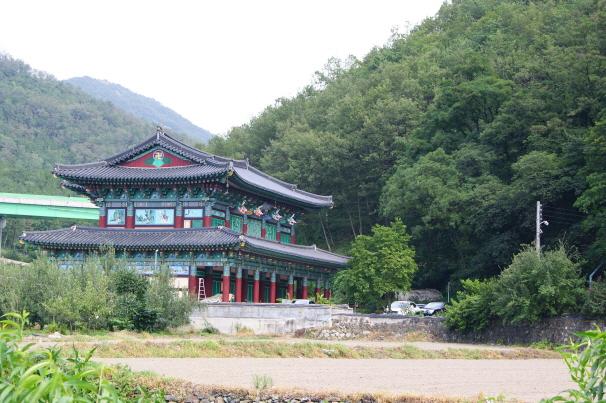 산림청, 천연기념물 제1호 ‘대구 도동 측백나무 숲’ 원형 복원 결정