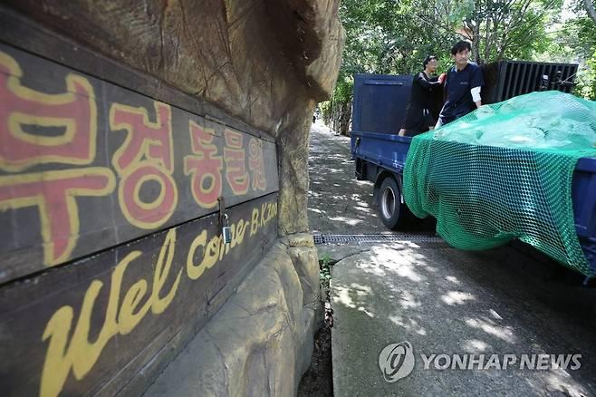 ‘갈비뼈 사자’ 살던 부경동물원, 러시아 국적 사육사 숨진 채 발견…지난해 8월 폐원