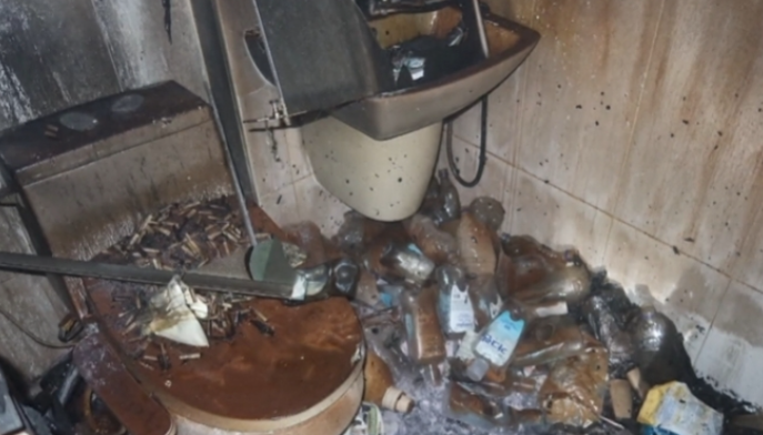 실내 흡연하다 ‘아파트 화재’… 스트리머 자택서 불나 반려묘 2마리 병원 이송